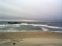 fogl_1