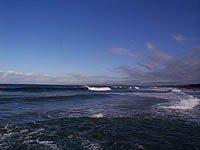 reve_2